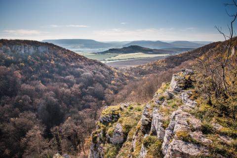DREAL BFC - Carte Territoires et Paysages 